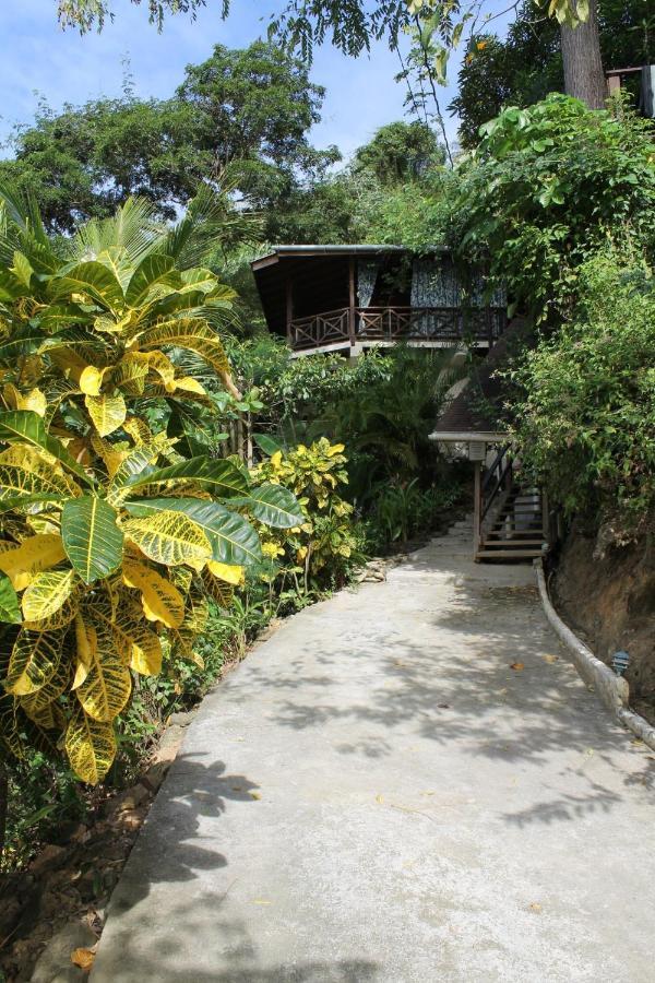Ferienwohnung Alibaba'S Seabreeze Castara Exterior foto